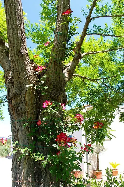 Agriturismo Il Vecchio Imposto Villa Massa Marittima Farm stay